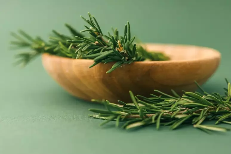 Conheça a planta que ajuda a regenerar as células pancreáticas e melhora o sistema digestivo